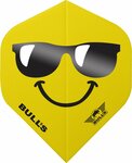 Bull&#039;s Smiley 100 sunglasses