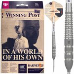Target Raymond v Barneveld Barney 25 95% Swiss 23 gram