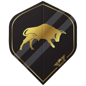 Bulls Retro 100 black logo