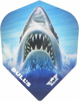 Bulls Shark No.06