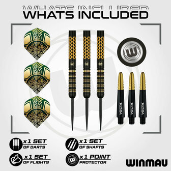 Winmau Brendan Dolan 25 Gram